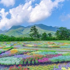 Casino (Feat. Elsker )