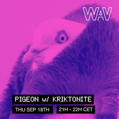 Pigeon w/ Kriktonite at WAV | 18-09-25