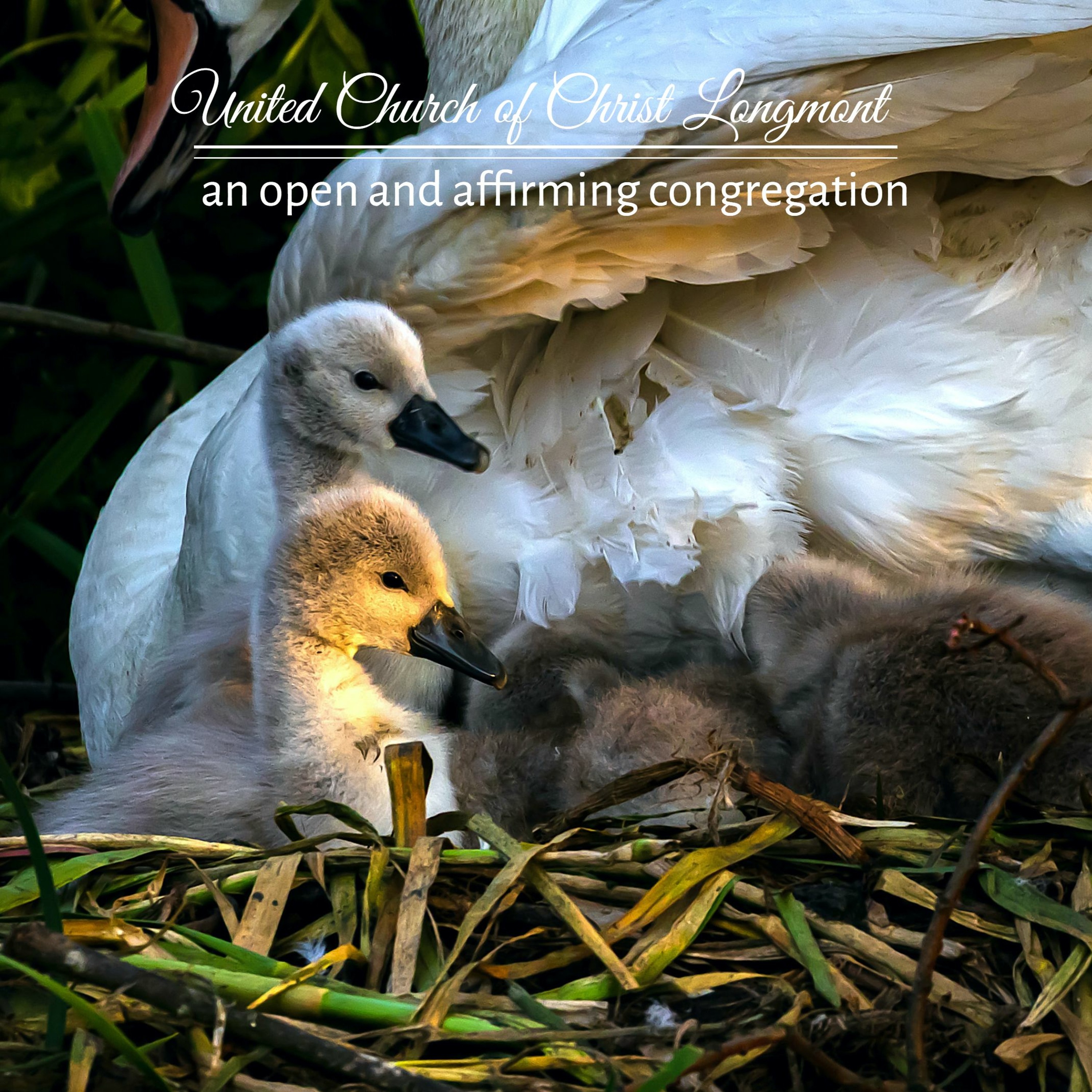UCC Longmont Sermons