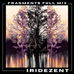 Fragments Full Mix