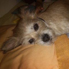 casual conversations