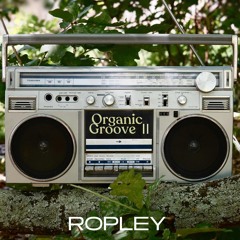 Organic Groove 2 | Afro House Mix | 07.02.25