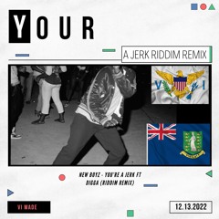 New Boyz - You're A Jerk Ft Digga (Riddim Remix)