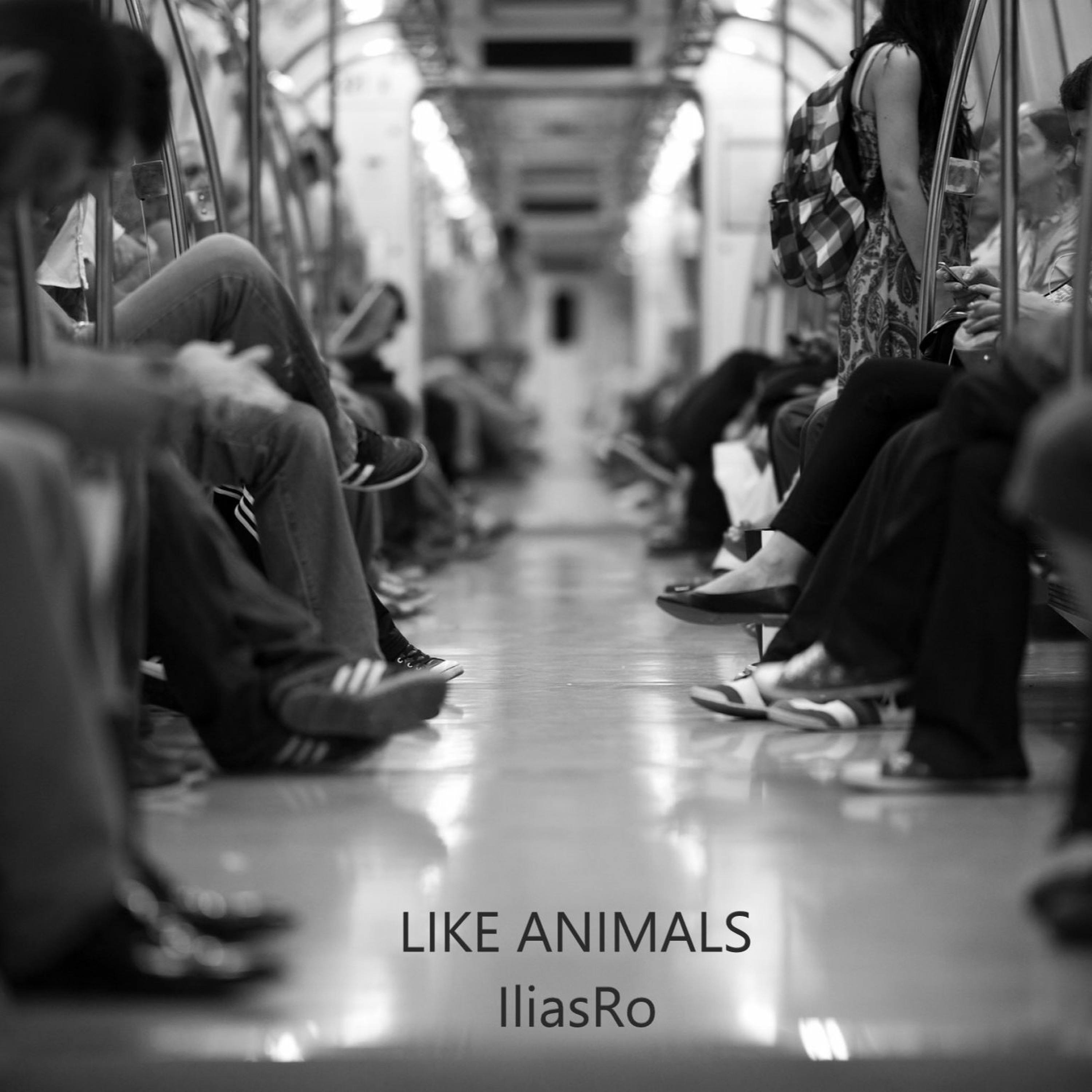Like Animals episode artwork