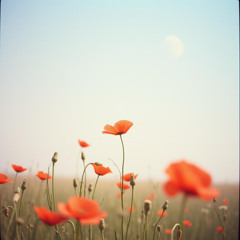Lest We Forget