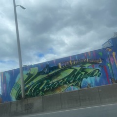 Jus Like A N*gga Should