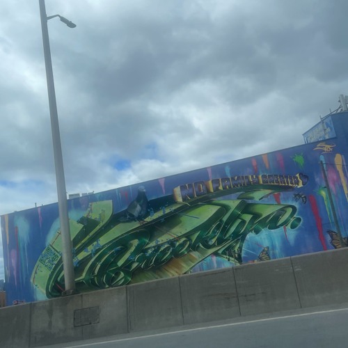 Jus Like A N*gga Should