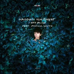 Haddadi Von Engst - I Was Blind Feat. Phonic Youth (Rodriguez Jr. Remix) [SNIPPET]