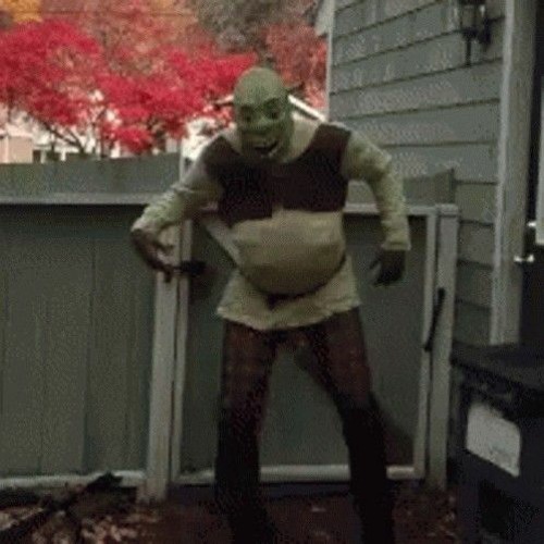 Shrek Dancing 