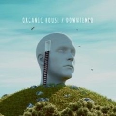 Organic House / Downtempo Mix