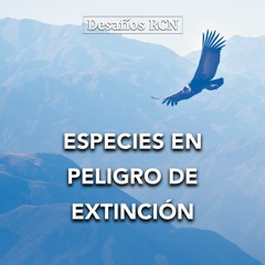 Especies en peligro de extinción | Desafíos RCN-Javeriana