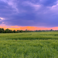 Synthchronised Groovy Sunday (Live Jam)