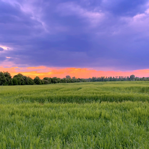 Synthchronised Groovy Sunday (Live Jam)