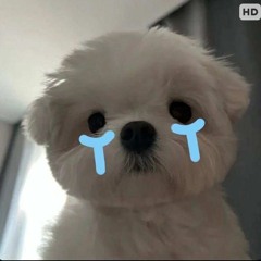 CON THO LA CON GO - KIEP DO DEN FT