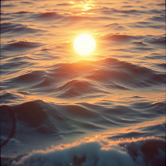 Rise Again