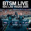 Black Tiger Sex Machine - EDC Las Vegas 2025 (Live Full Set) DJ mix artwork - Electronic music tracklist cover image