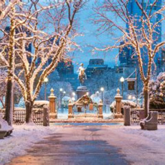 Best Fun Things To Do In The Winter Boston Tours Reviews