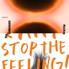 Biscits x Justin Timberlake - That Feeling x Can't Stop The Feeling (Tim Underscore Mashup)