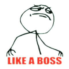 LIKE A BOSS [cardo + dmo]