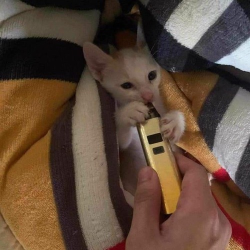 nắng có em mang về ):