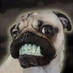 Извинение перед рамзаном кадыровым.