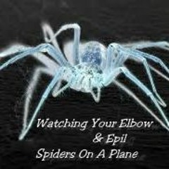 Watching Your Elbow X Epil - SPIDERS ON A PLANE