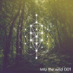 Into the Wild 001