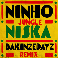 NINHO & NISKA - Jungle (BAKINZEDAYZ Reggae Remix)