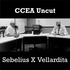 CCEA UNCUT: Sebelius X Vellardita