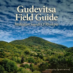 Gudevitsa Field Guide