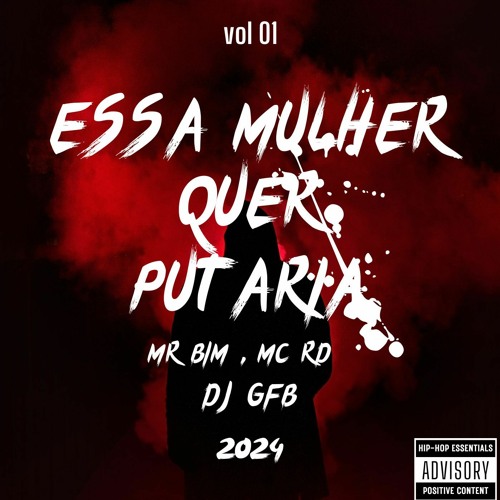 MR BIM , MC RD , ESSA MULHER QUE PUTARIA ( DJ GFB LANÇAMENTO 2024 )