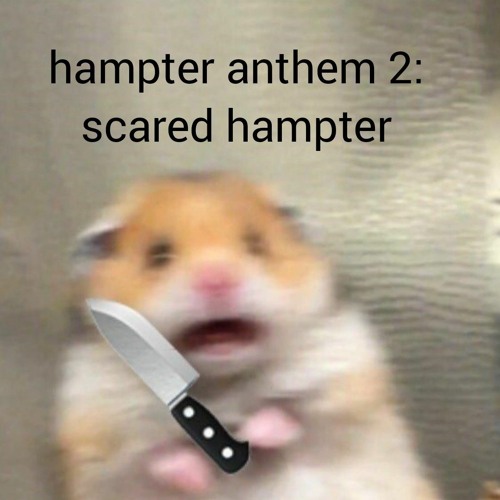 hampter anthem 2: scared hampter
