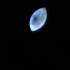 Goodnight Moon - club_nevermind/Mollywhollop