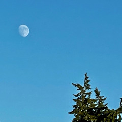 Driving Into A Moonrise
