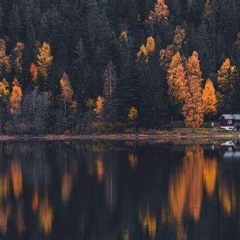 Fall Moody Mix 2024 ⁛ Kevin Reed ⁛