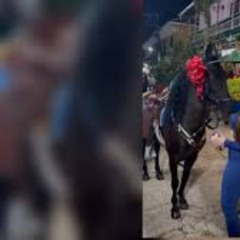 News Twitter video aida victoria merlano horse & aida victoria merlano con caballo trending