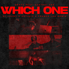 Which One (DJ Young x Franco Lao x ARTIQL8 Remix) *PITCHED*