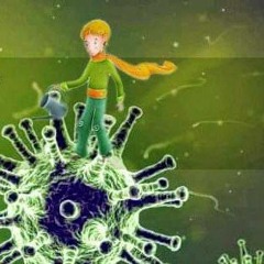 HAKKIN ÖZüNE DΩĞRU