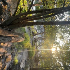 ROOTS IN VOID