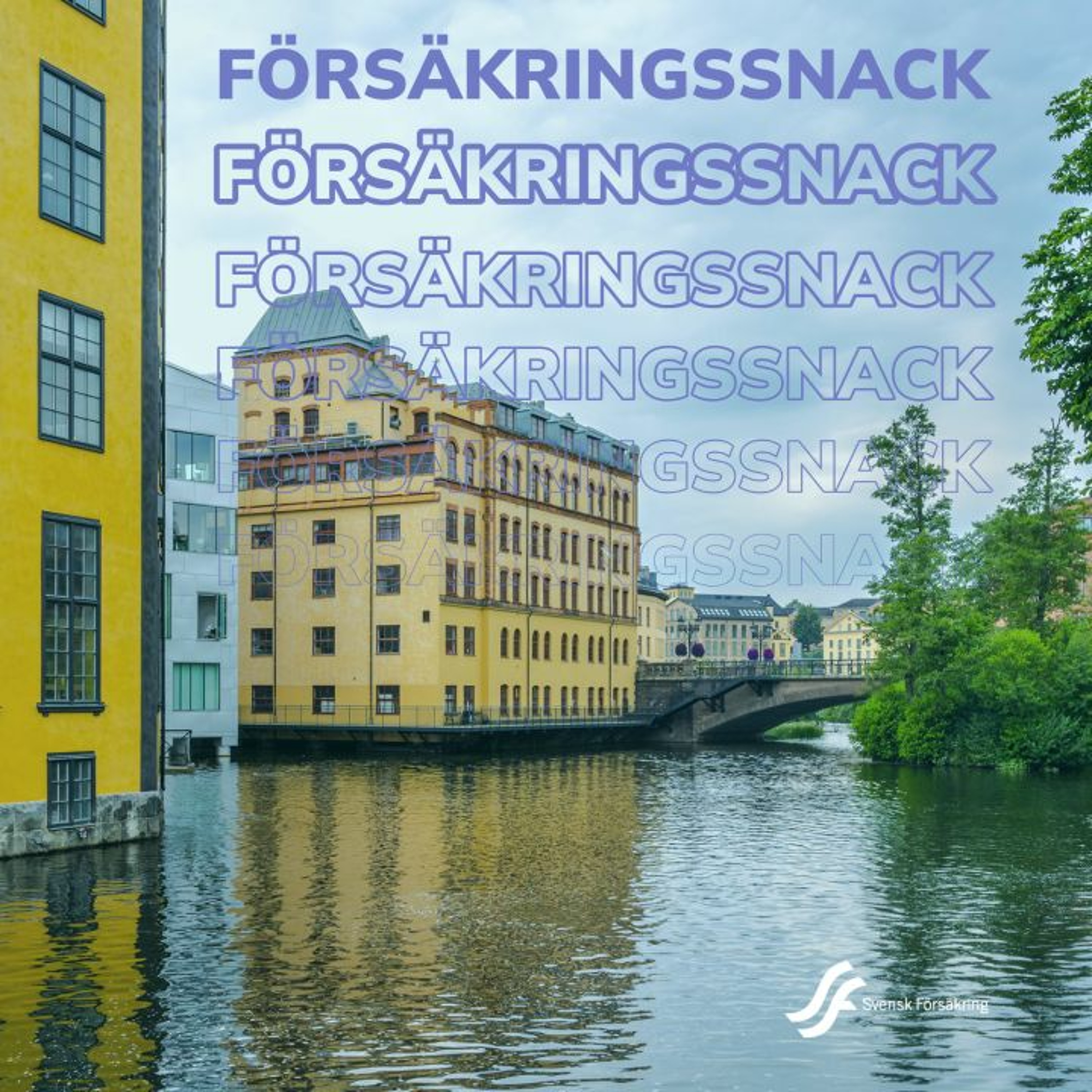 Försäkringssnack
