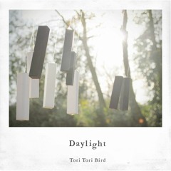 Daylight - Tori Tori Bird