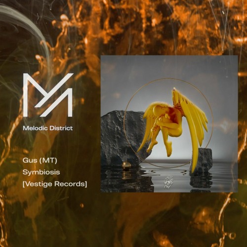 Stream PREMIERE Gus (MT) Symbiosis [Vestige Records] by Melodic