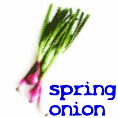 SPRING ONION