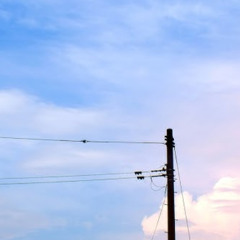 間違いだらけのきみを見せて cover