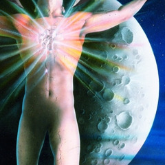 Wild Bees Are Chasing Me & So is the FBI