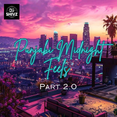 Punjabi Midnight Feels 2.0 - DJ Shivz
