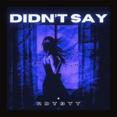 Didn't Say