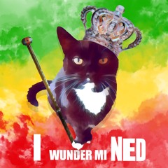 Lenze & De Buam - I Wunder Mi Ned