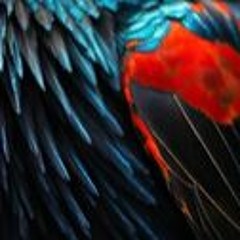 Running Out Of Daylight