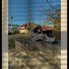 zimmer bin